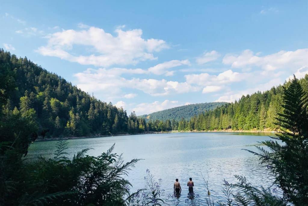 Lullaby House - Large, Full Comfort 5 Star Chalet House In The Vosges Ramonchamp Exteriér fotografie