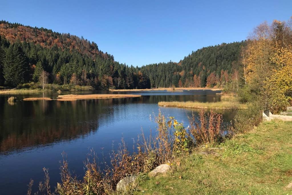 Lullaby House - Large, Full Comfort 5 Star Chalet House In The Vosges Ramonchamp Exteriér fotografie